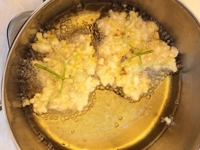 Drei Holunderblüten schwimmen in heißem Öl in einem Topf und werden goldbraun gebacken.
