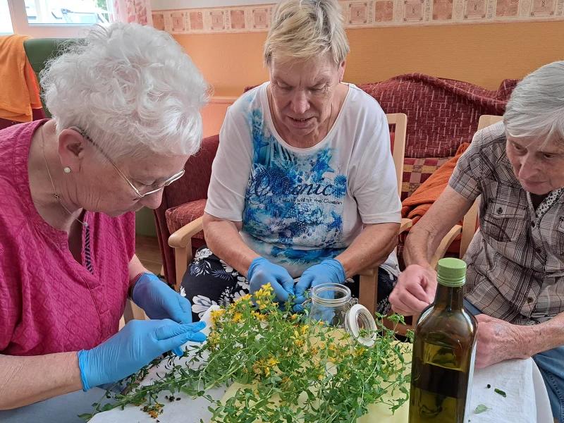 Gäste der Tagespflege in Hausach zupfen gemeinsam Johanniskraut-Blüten für die Ölherstellung